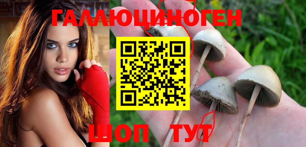 купить  цена  Вход с VPN  Батайск  Галлюциногенные грибы MAGIC MUSHROOMS 